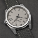 Grand Seiko SBGV245 / 9F82 - 0AL0 "Grey Beast"